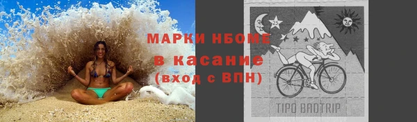 сатива Няндома