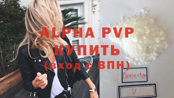 сатива Няндома