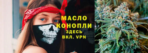 сатива Няндома