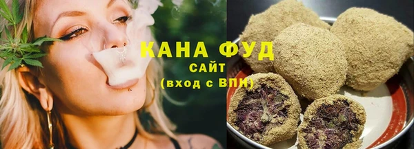 сатива Няндома