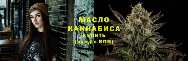 сатива Няндома